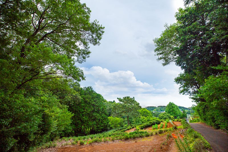 西武球場前駅トトロの森