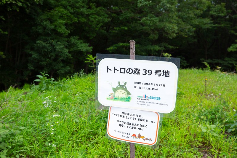 西武球場前駅トトロの森